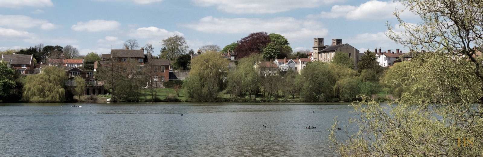 Website design for businesses in Diss