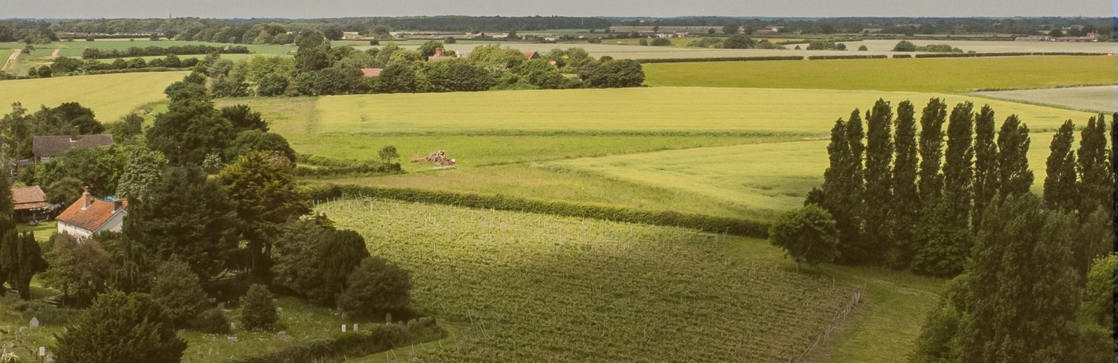 Website design for businesses in Hadleigh, Suffolk
