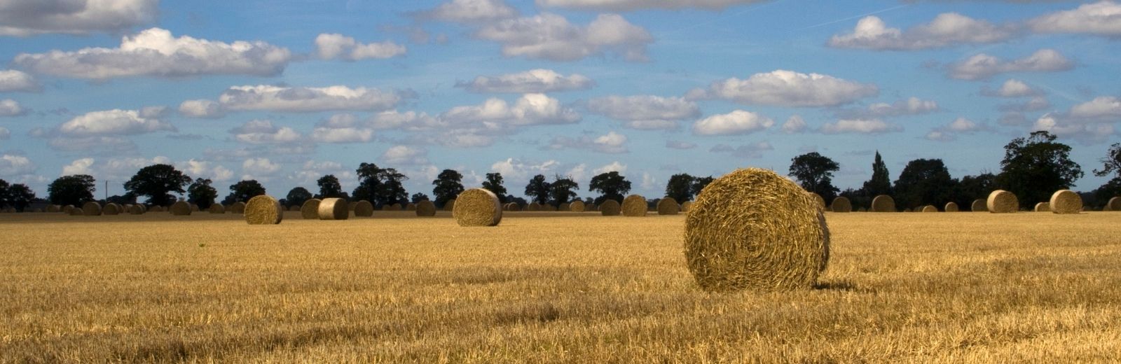 Website design for businesses in Lakenheath, Suffolk