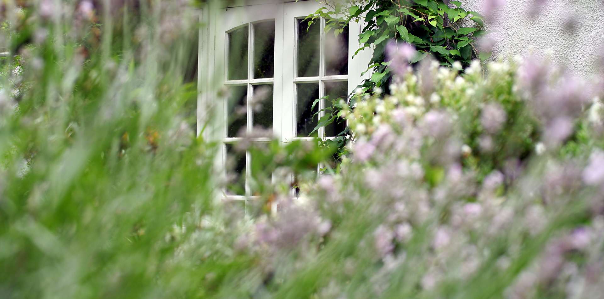 Holiday cottage website design